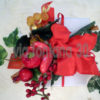Bomboniera Tralcio Laurea CB0014 - immagine 4