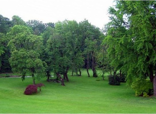 Giardino villa palladiana verona lago di garda